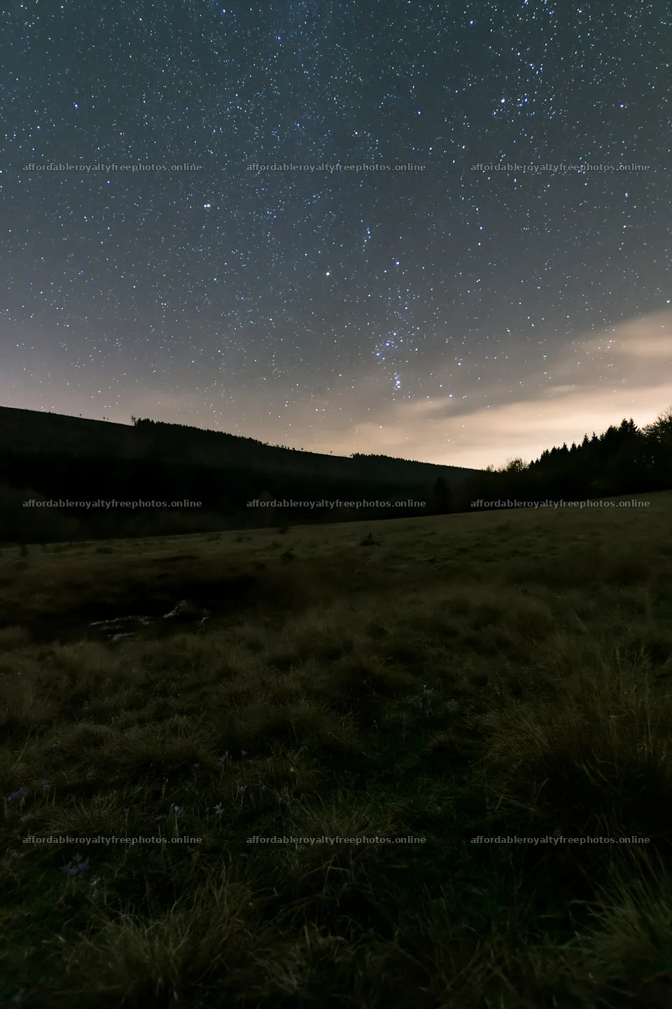 Dark sky over a meadow under a starry night – royalty-free photos 6480x9722