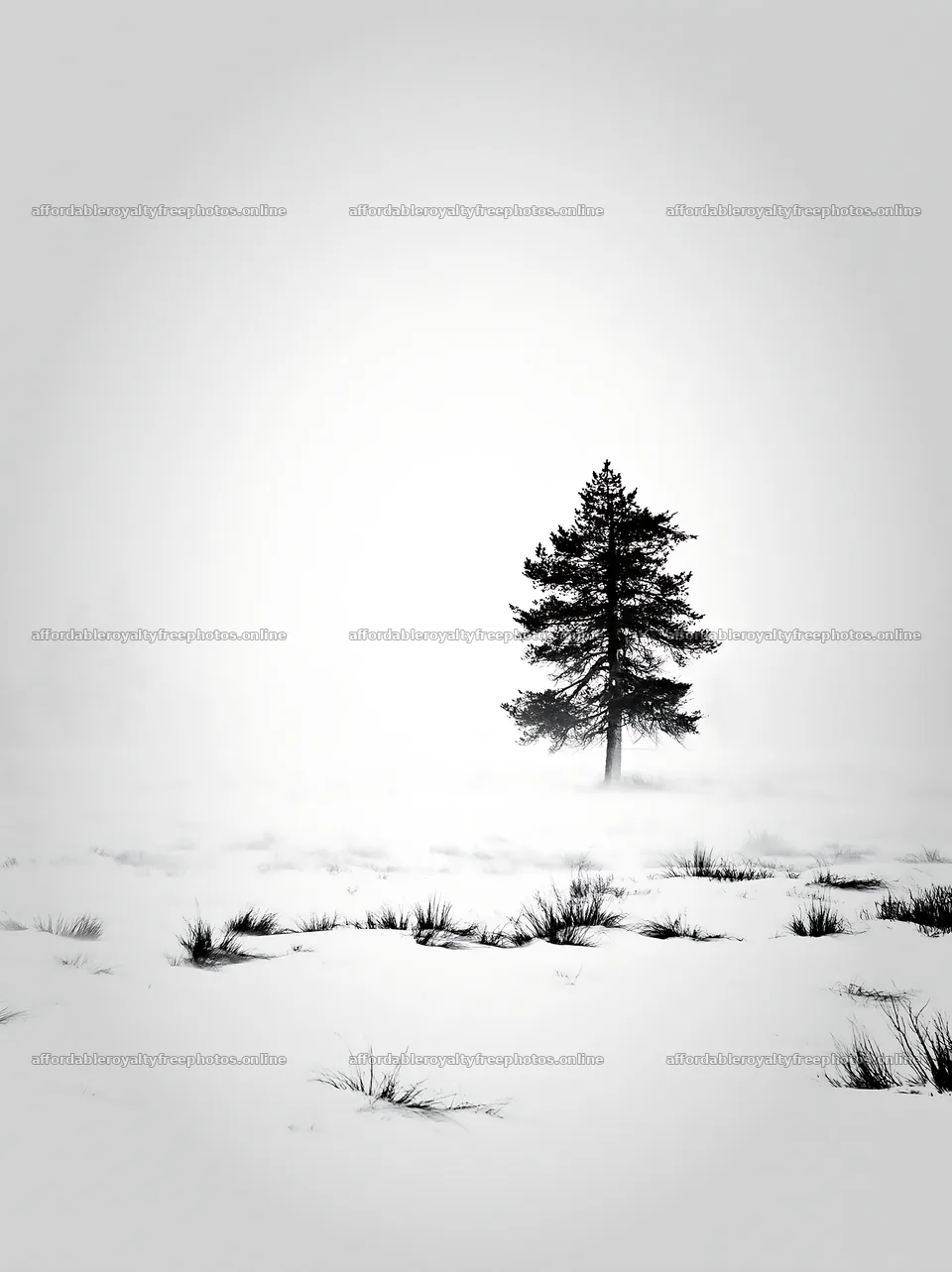 Snowbound meadow with lone tree in winter fog – royalty-free photos 6866x9174