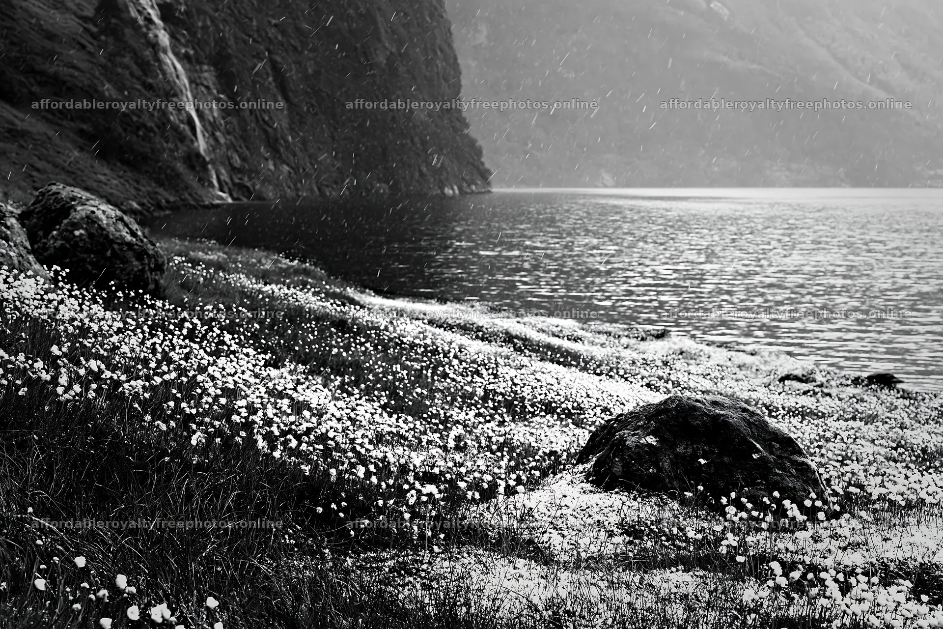 Snowy lakeside meadow with grass and flowers beside water – royalty-free photos 9722x6480