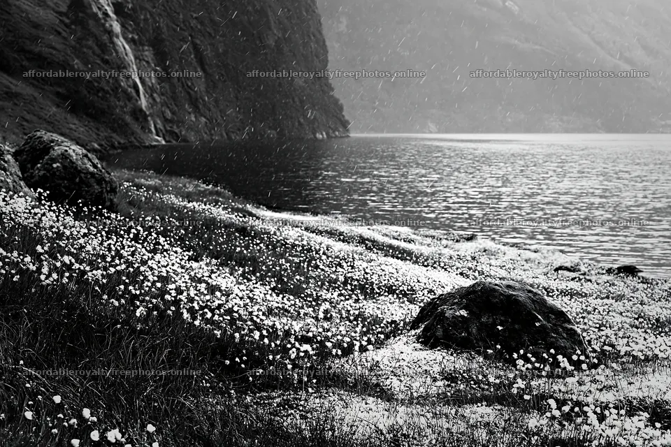 Snowy lakeside meadow with grass and flowers beside water – royalty-free photos 9722x6480