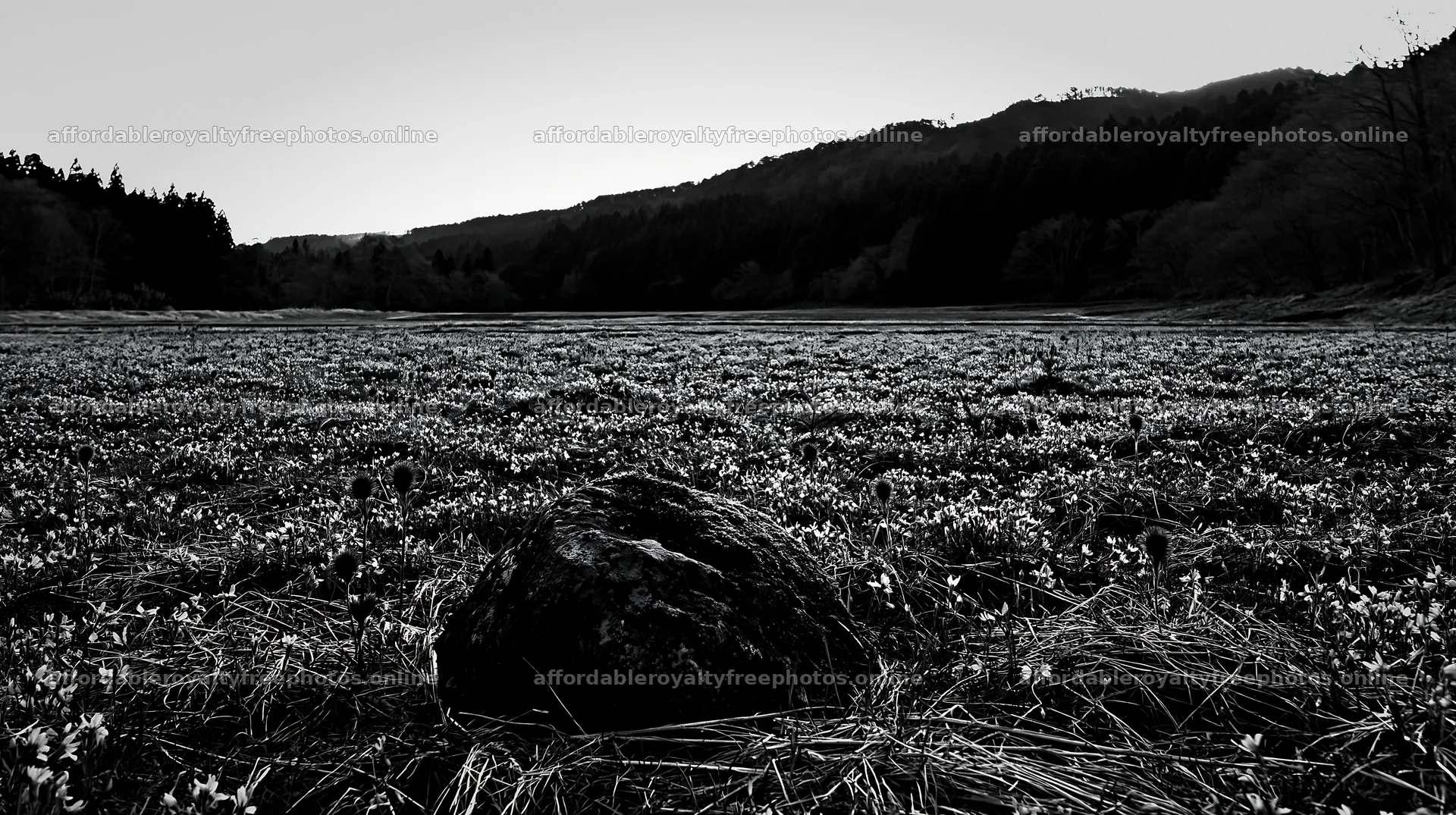 Miyagi spring recovery meadow mossy stone attracts – royalty-free photos 10608x5938