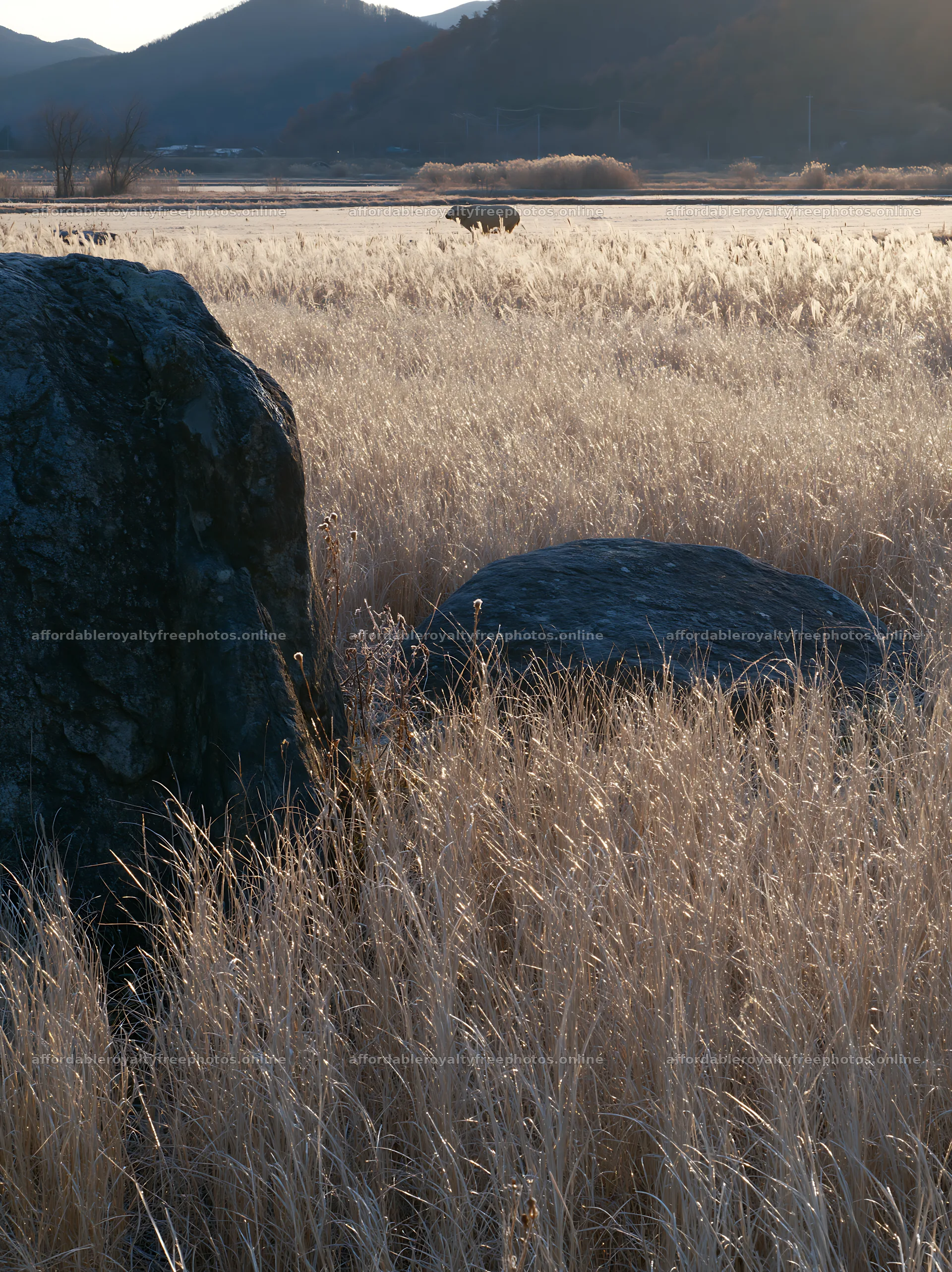 Nagano drought resilient meadow granite boulder – royalty-free photos 6866x9174