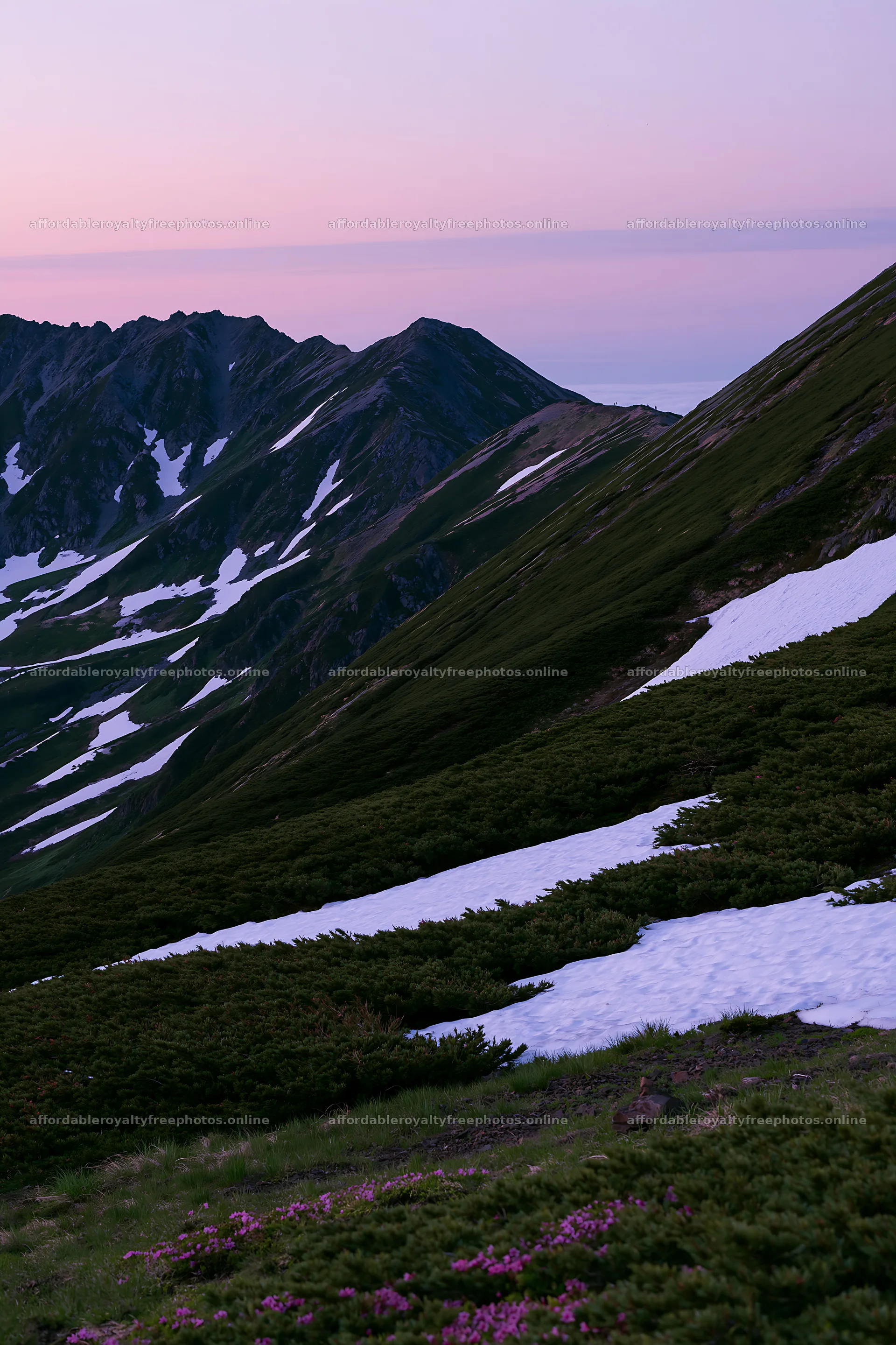 Snowline meadow with mountains and patches of snow – royalty-free photos 6480x9722