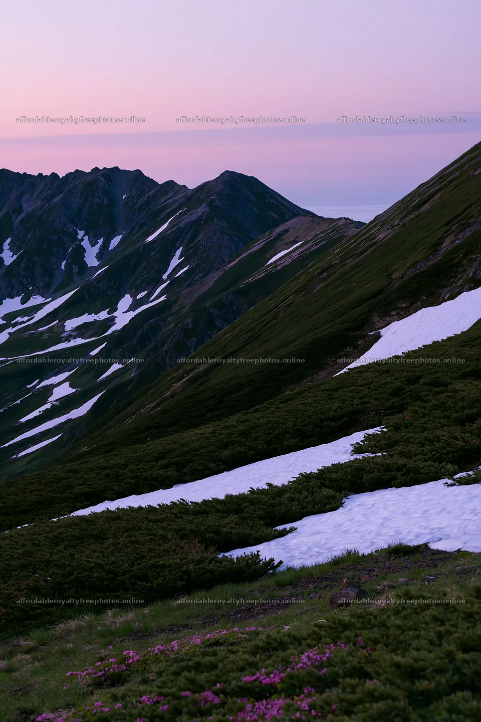 Snowline meadow with mountains and patches of snow – royalty-free photos 6480x9722