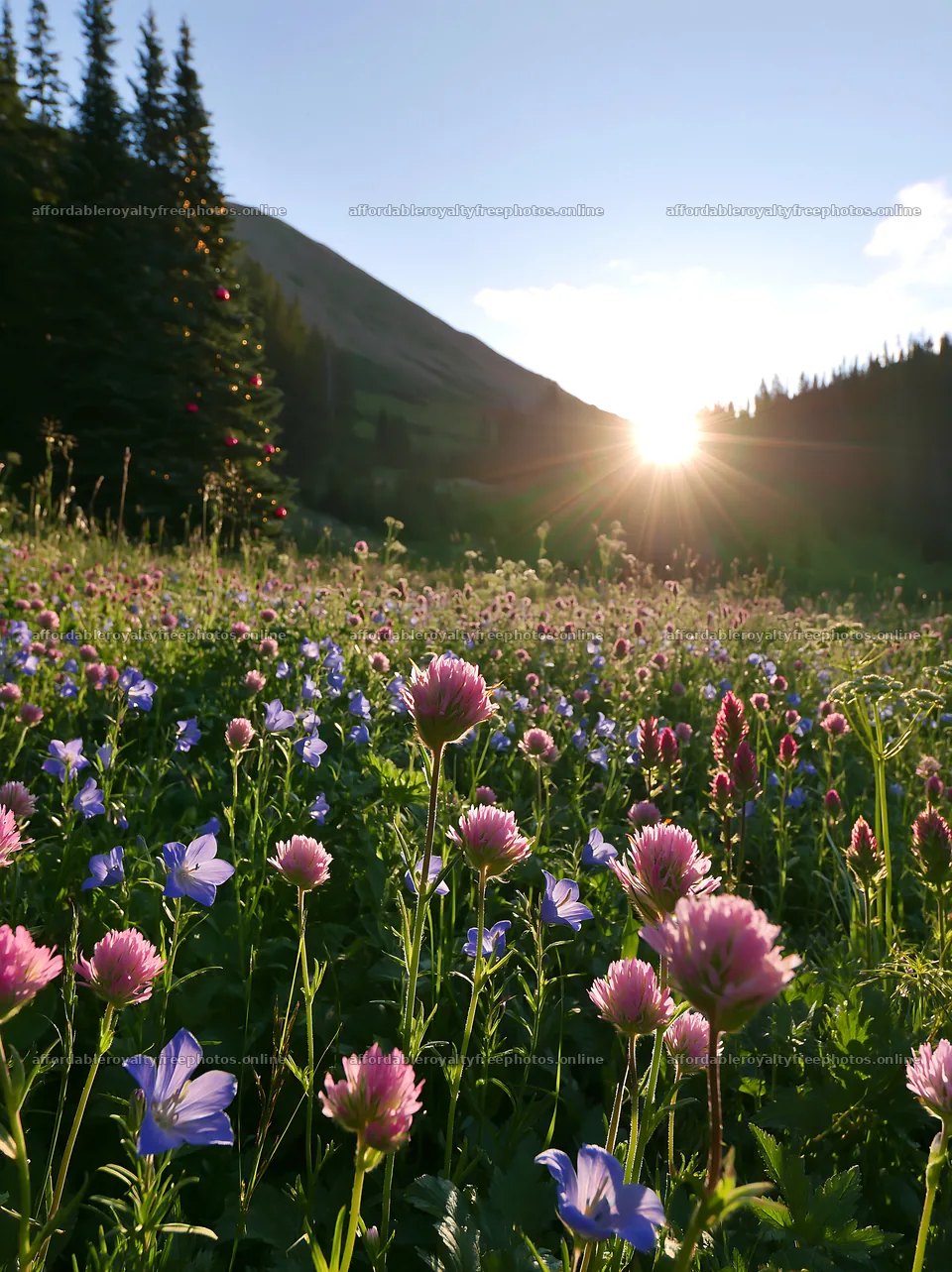 Christmas decorations in a mountain valley meadow with – royalty-free photos 6866x9174