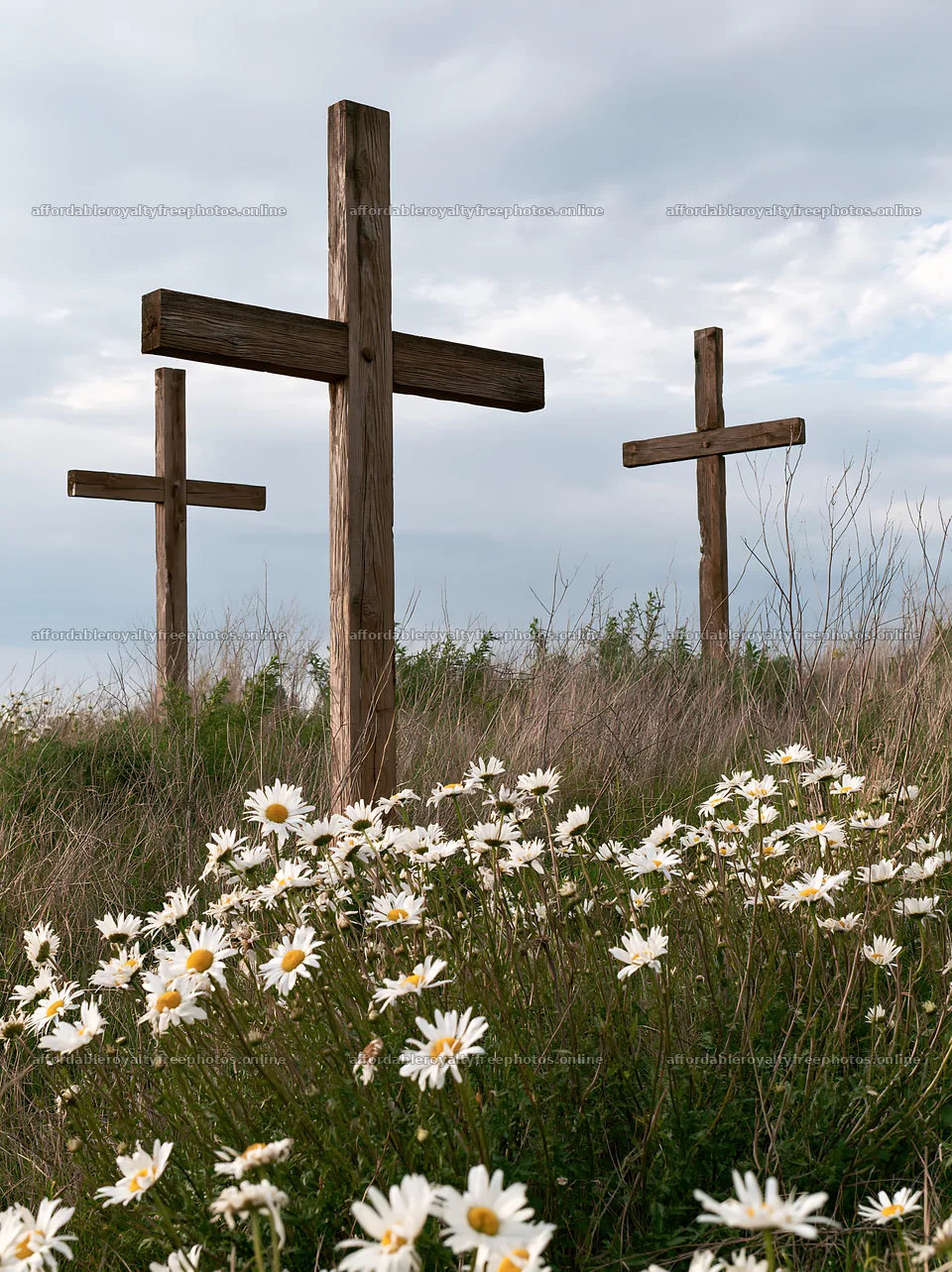 Three Christian crosses in a meadow with flowers – royalty-free photos 6866x9174
