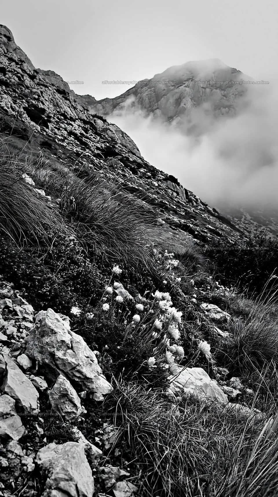Cloudy limestone meadow with rocks and plants – royalty-free photos 5938x10608