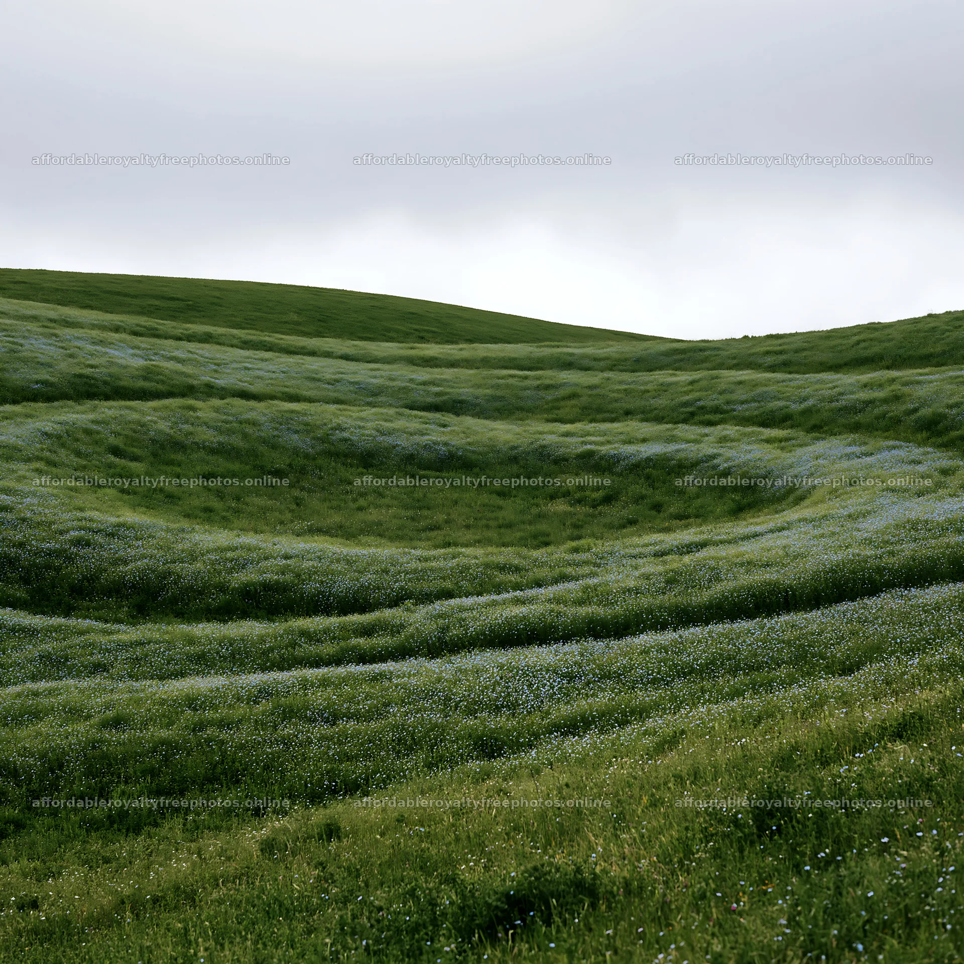 Cloudy foothill meadow with green grass and gentle slopes – royalty-free photos 7938x7938