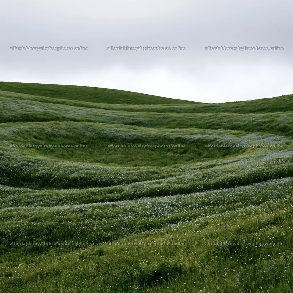 Cloudy foothill meadow with green grass and gentle slopes – royalty-free photos 7938x7938
