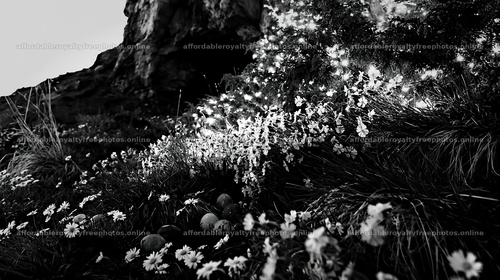 Christmas tree near cave in meadow with flowers – royalty-free photos 10608x5938