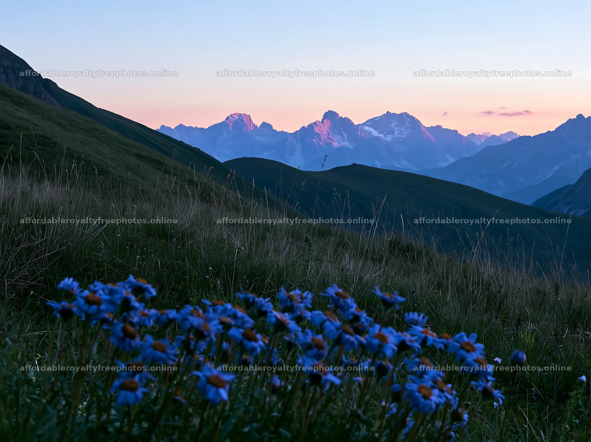 Mountain pass meadow with blooming flowers at sunset – royalty-free photos 9174x6866