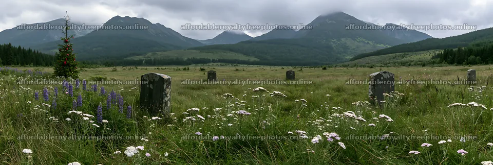 Christmas tree with ornaments in mountain meadow setting – royalty-free photos 13690x4602
