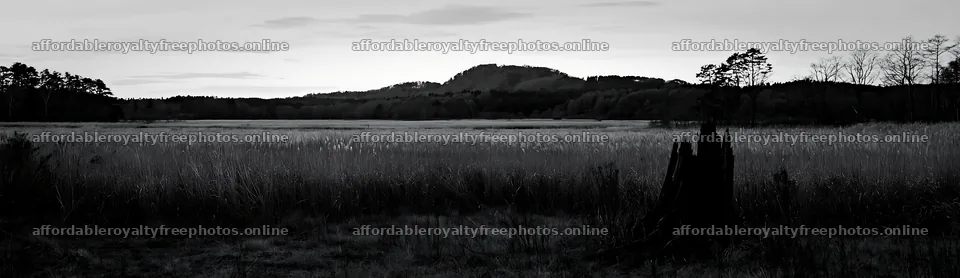 Fukushima native meadow with weathered stump – royalty-free photos 14762x4268