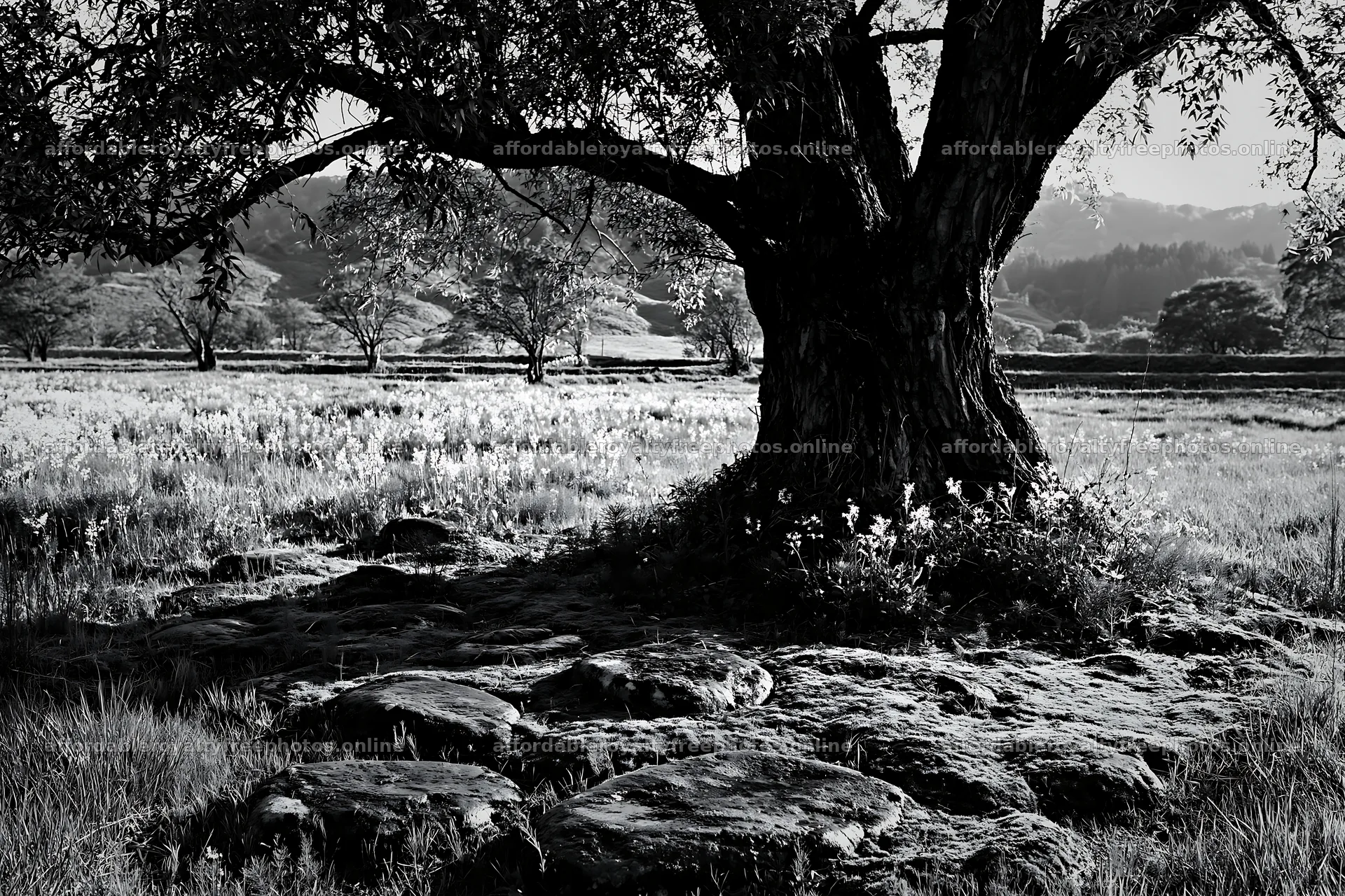 Miyagi spring recovery meadow mossy stone with tree and – royalty-free photos 9722x6480