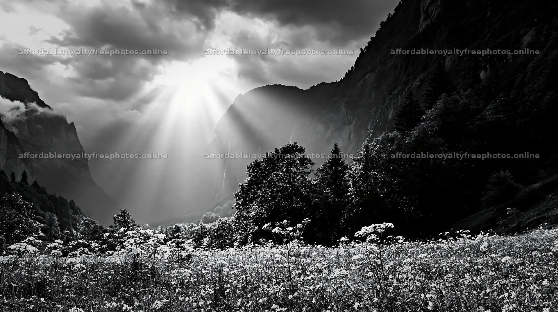 Lauterbrunnen Valley meadow with light rays shining – royalty-free photos 10608x5938