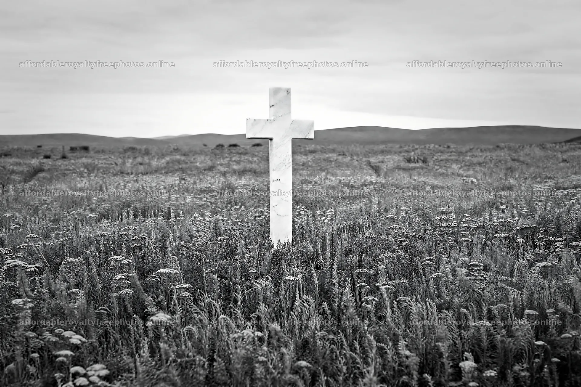 White Christian cross stands in wildflower meadow – royalty-free photos 9722x6480
