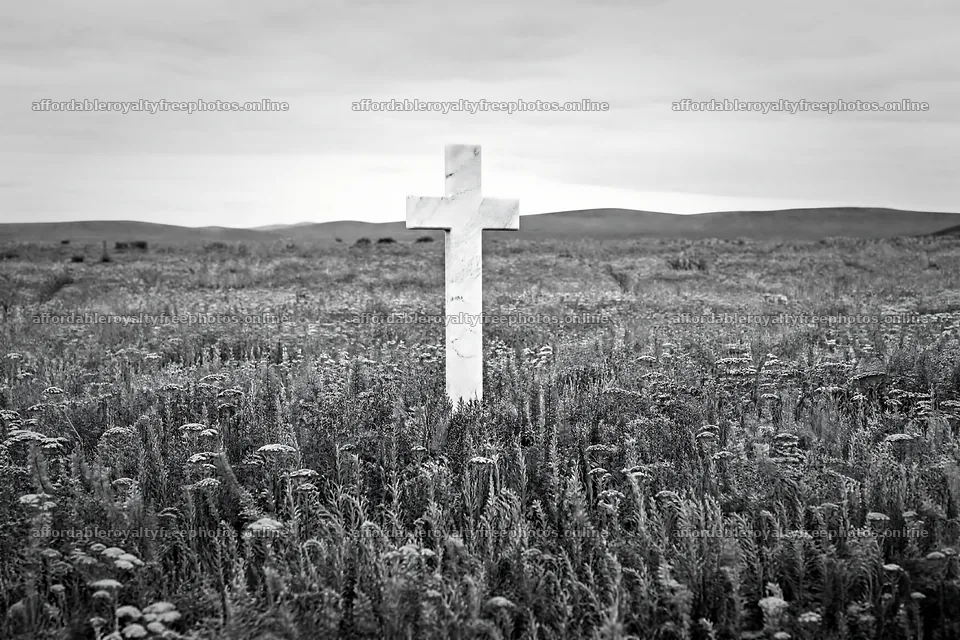 White Christian cross stands in wildflower meadow – royalty-free photos 9722x6480