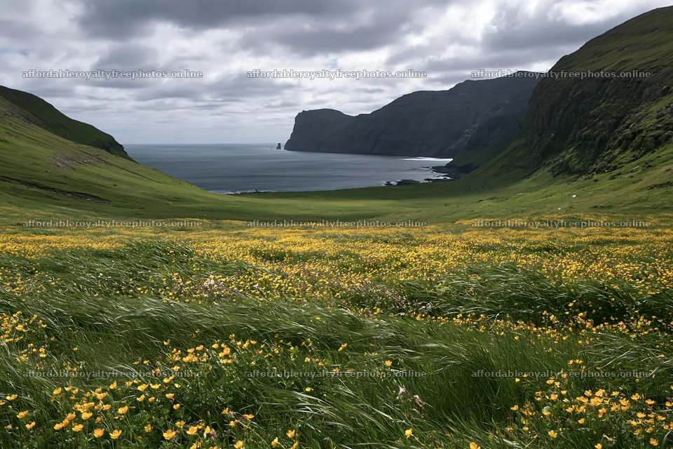 Rolling valley with yellow flowers and coastline – royalty-free photos 9722x6480