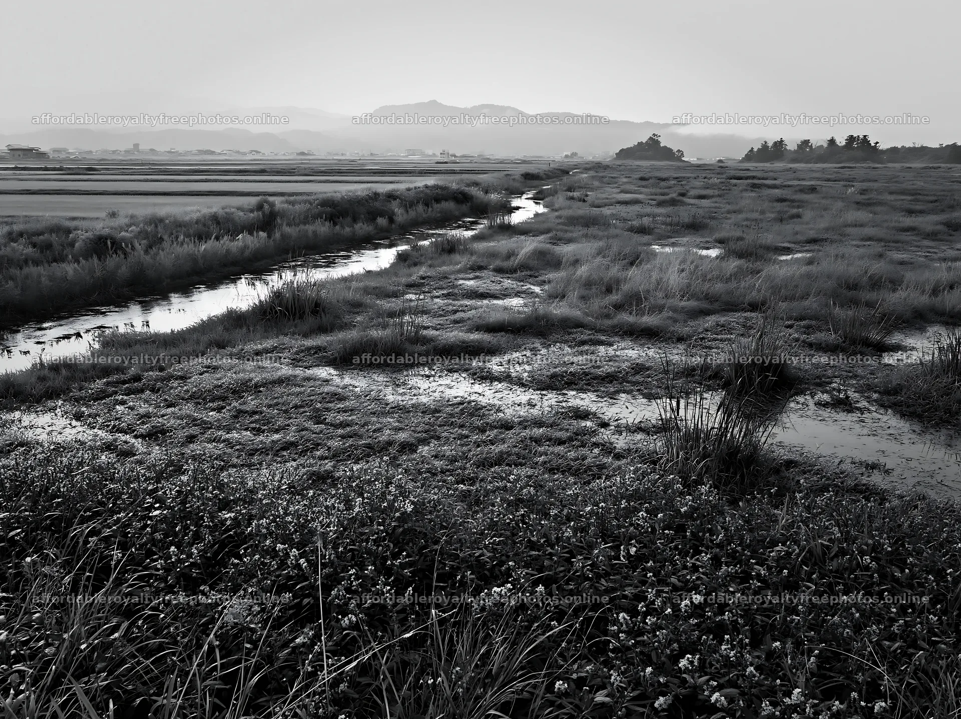 Niigata floodplain restoration meadow with dew in – royalty-free photos 9174x6866