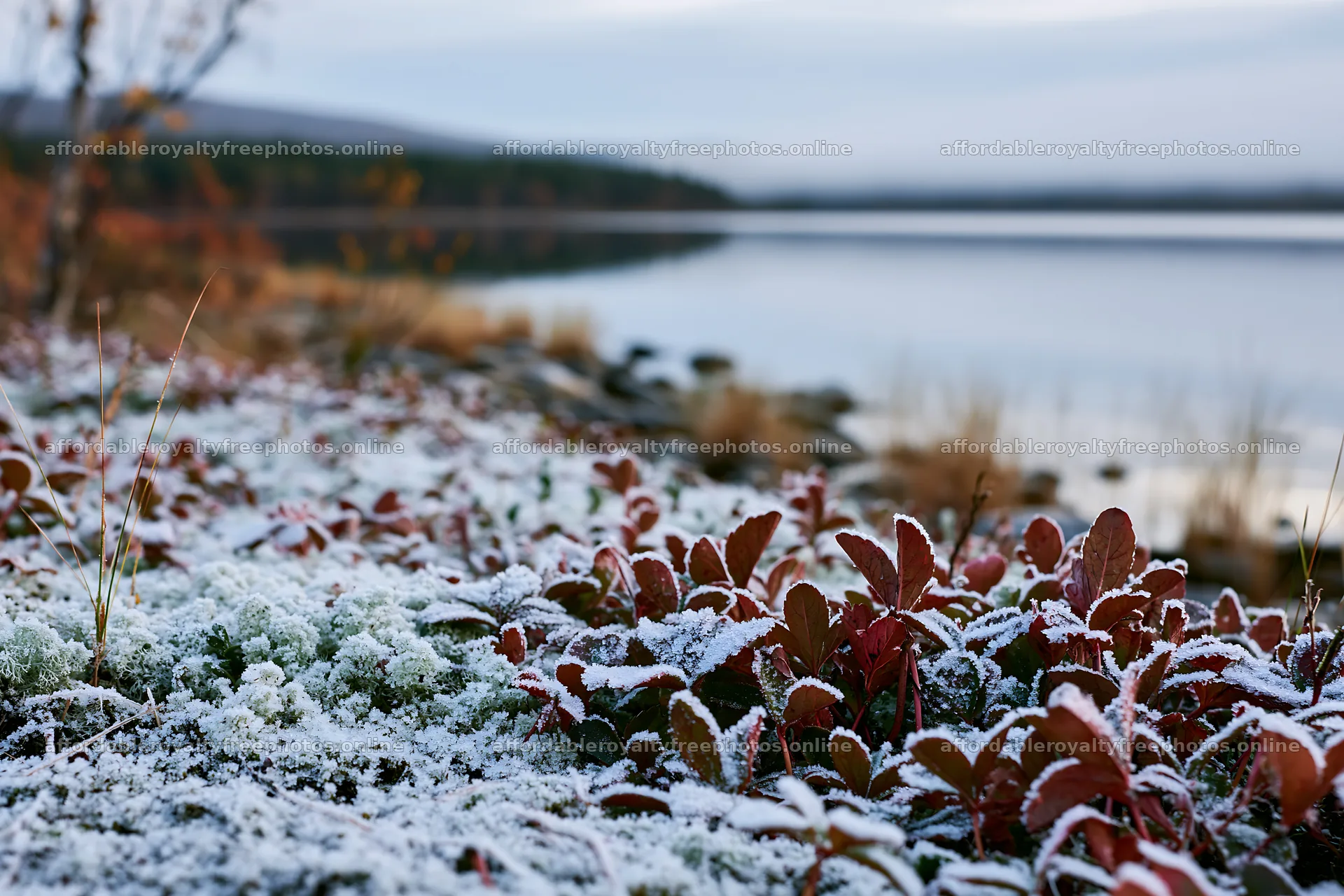 Lakeside meadow covered in snow after early winter chill – royalty-free photos 9722x6480