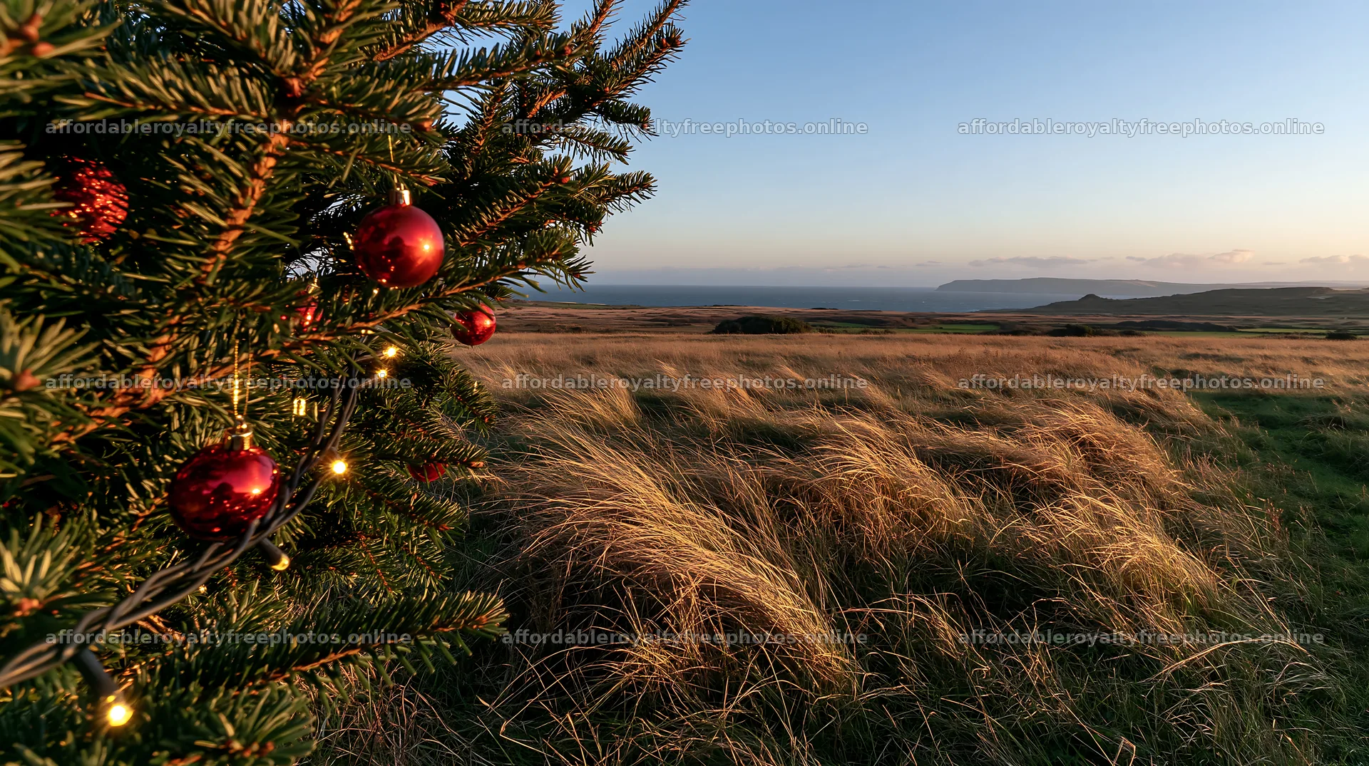 Expansive Christmas meadow with baubles and branch in – royalty-free photos 10608x5938