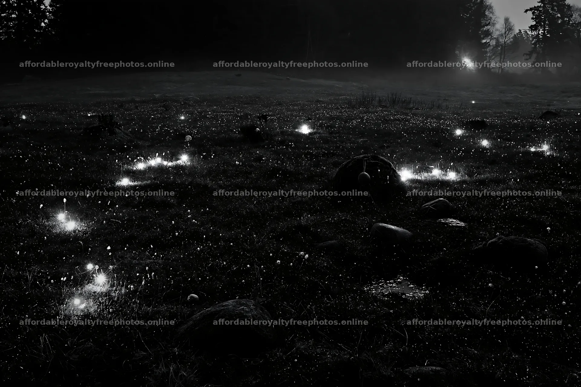 Expansive Christmas meadow with lights and stones in – royalty-free photos 9722x6480