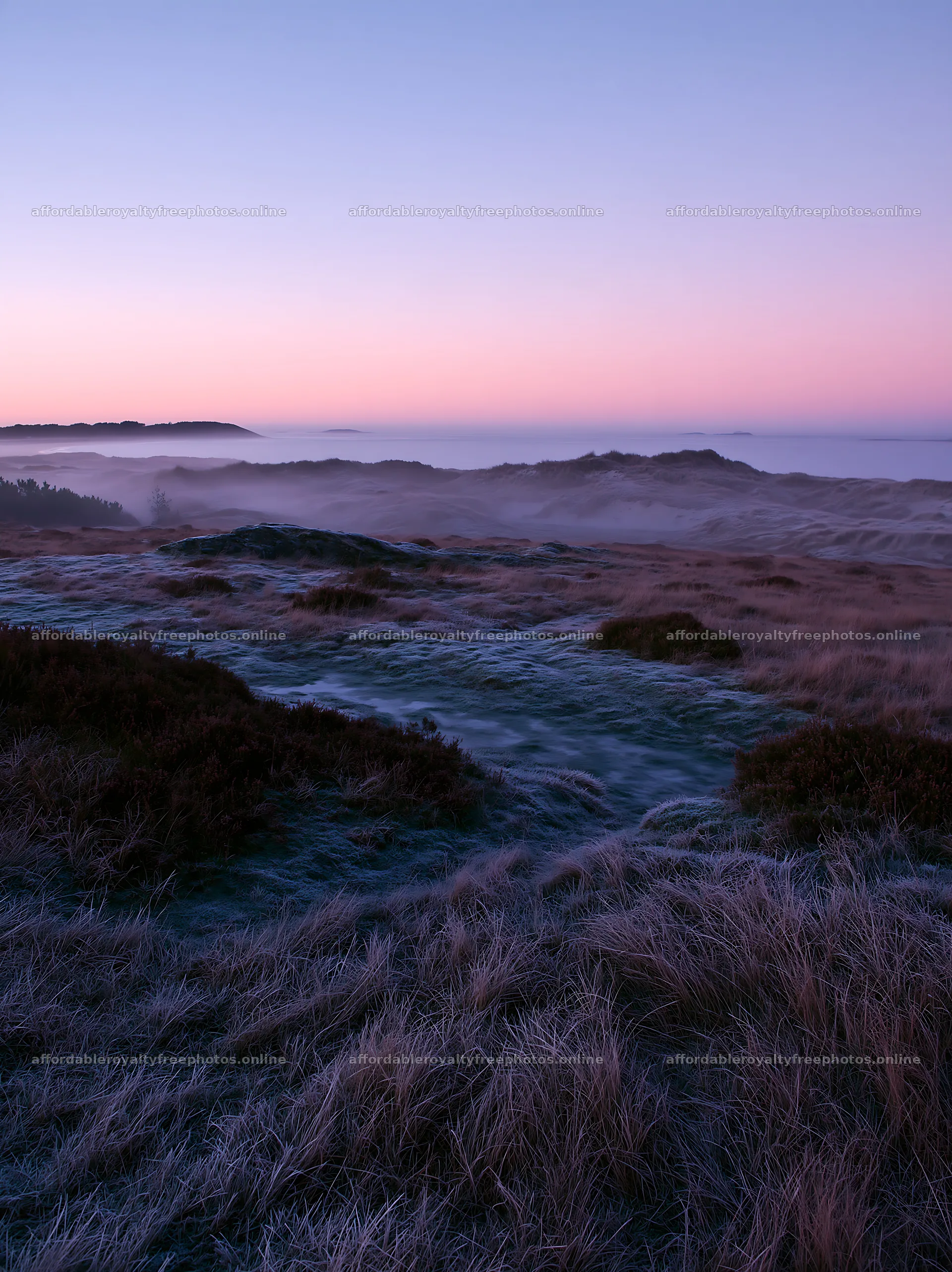 Frosty coastal meadow at dawn with mist and soft light – royalty-free photos 6866x9174