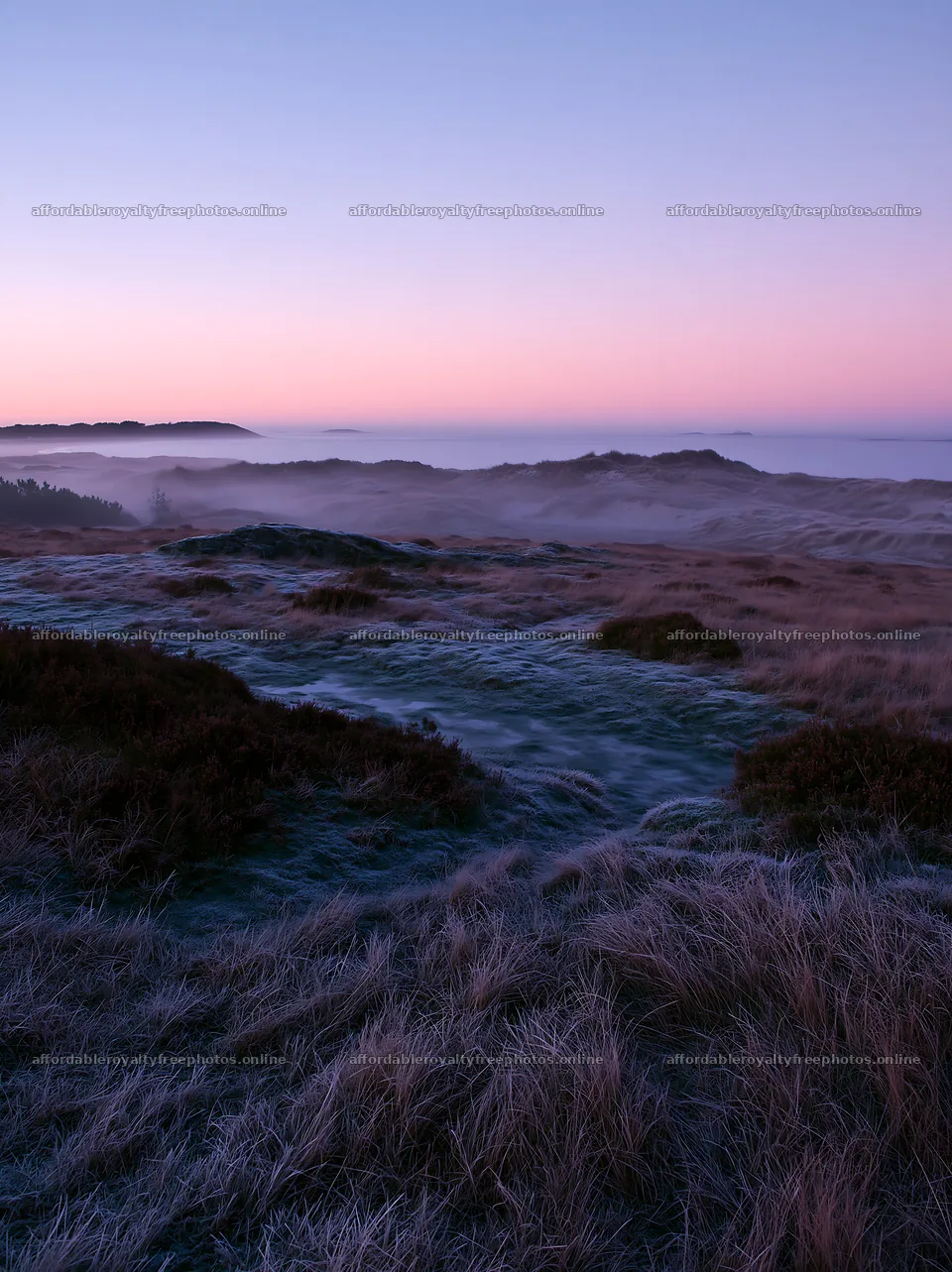 Frosty coastal meadow at dawn with mist and soft light – royalty-free photos 6866x9174