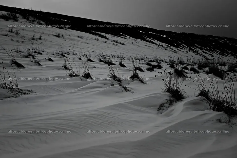Snowy highland meadow with grass patches in winter – royalty-free photos 9722x6480