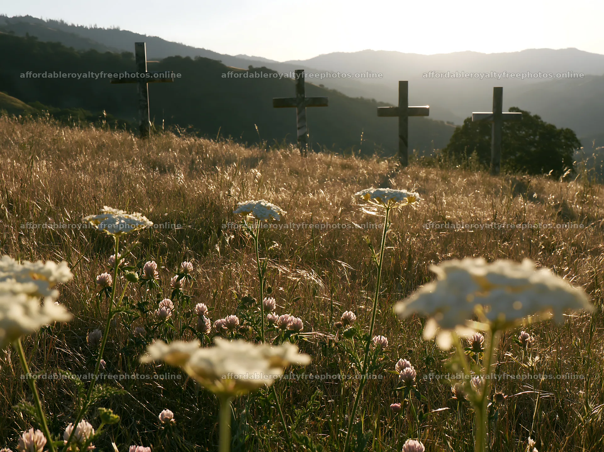 Three Christian crosses in quiet meadow during sunset – royalty-free photos 9174x6866