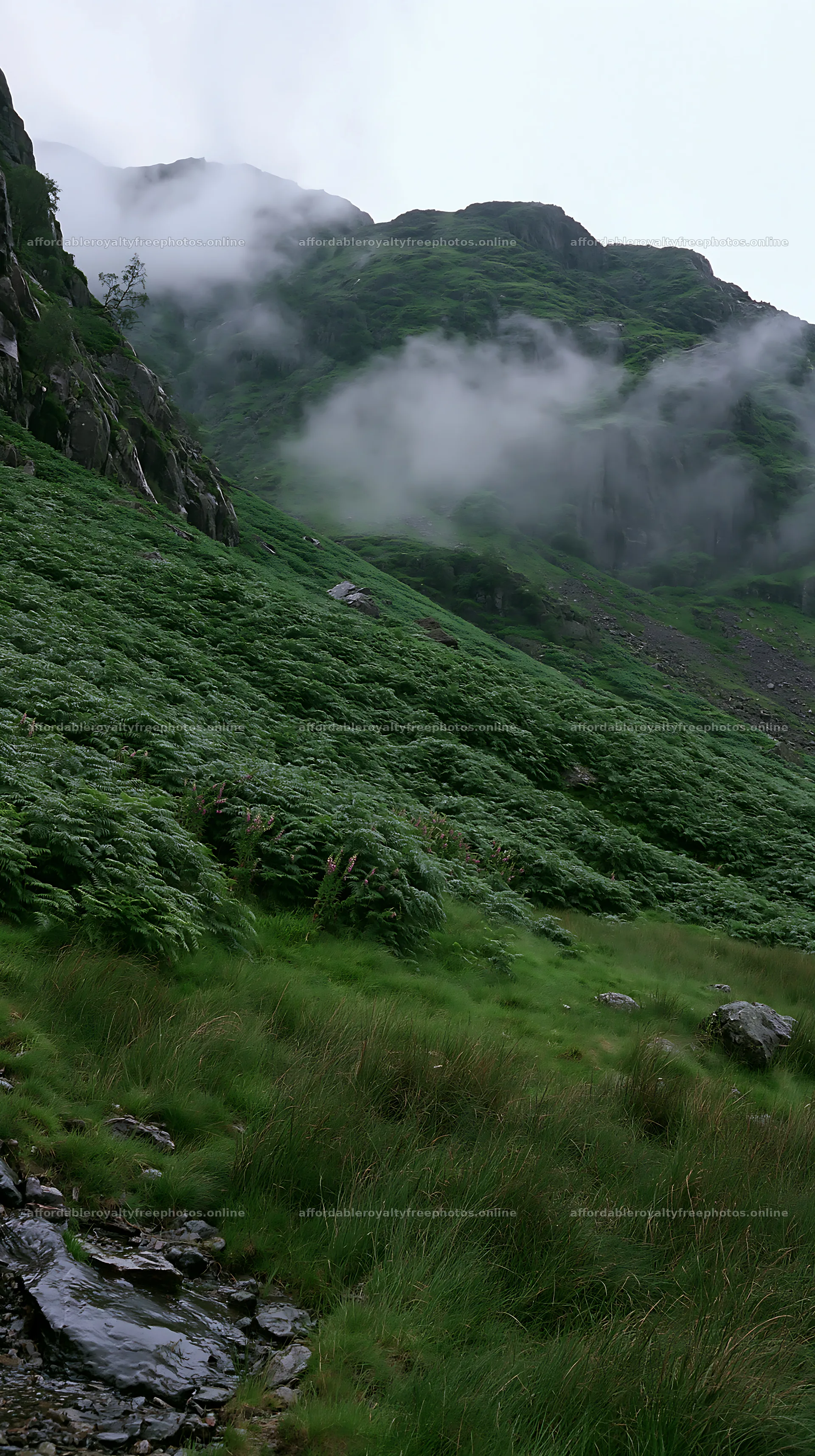 Meadow under crags with clouds in the highlands – royalty-free photos 5938x10608