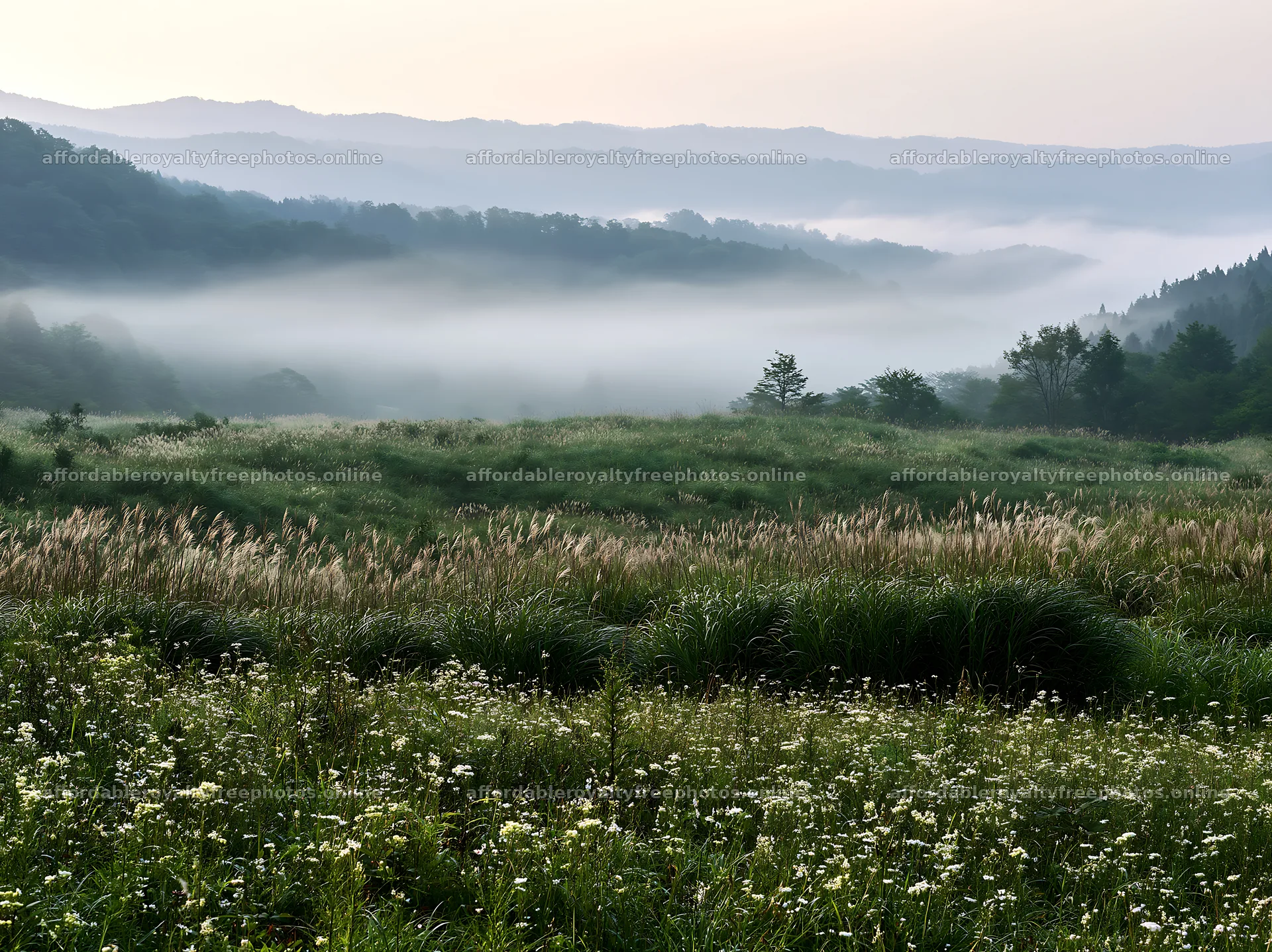 Climate-resilient meadow and misty hills in the – royalty-free photos 9174x6866