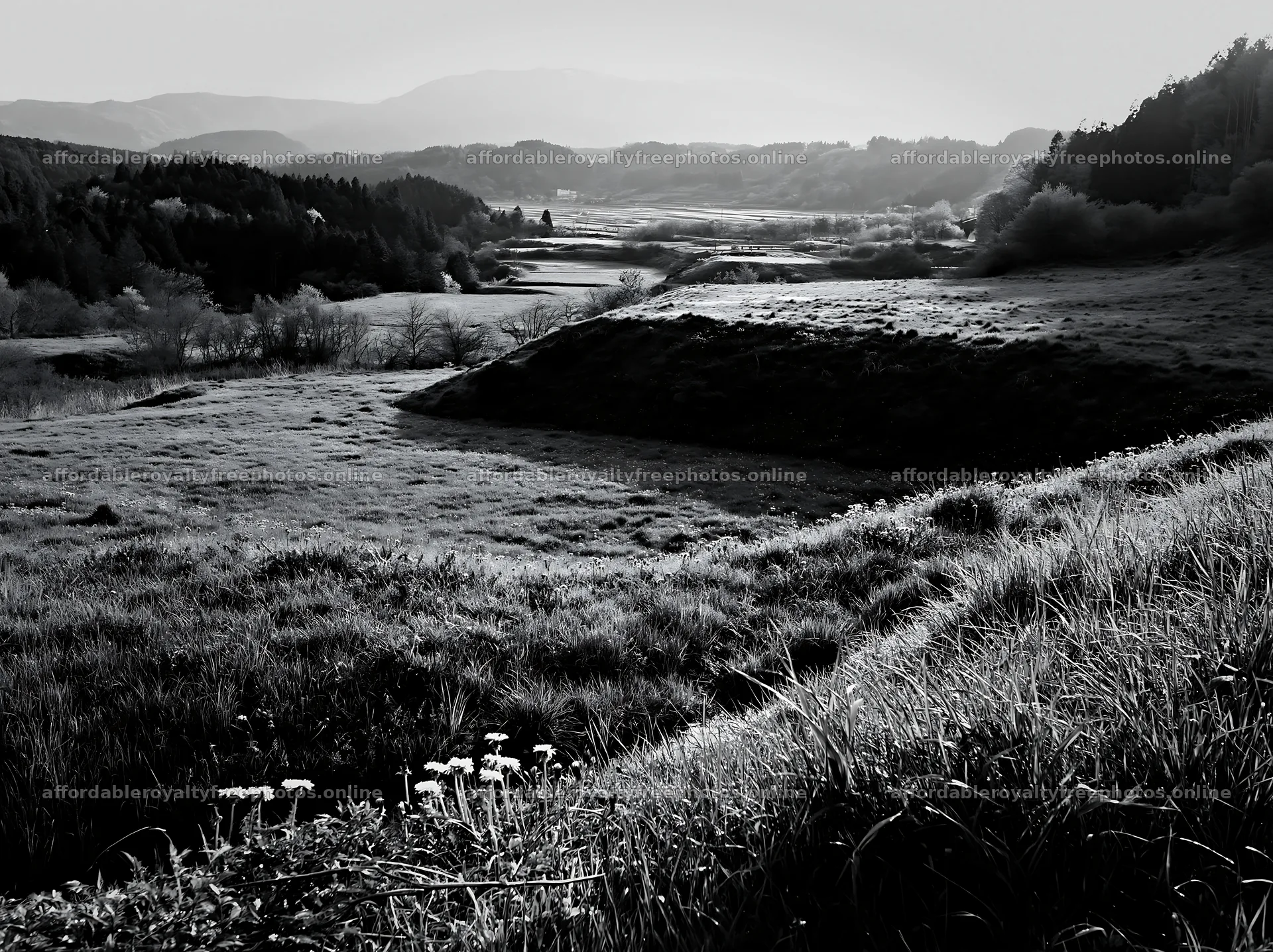 Shizuoka meadow view after heavy rain in black and white – royalty-free photos 9174x6866