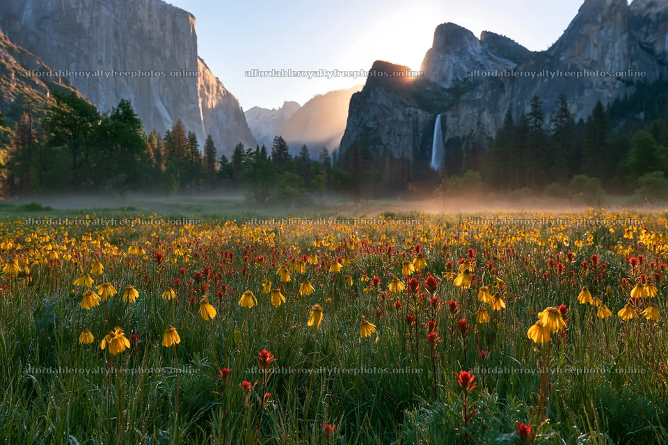 Flowering meadow near mountain with waterfall at sunrise – royalty-free photos 9722x6480