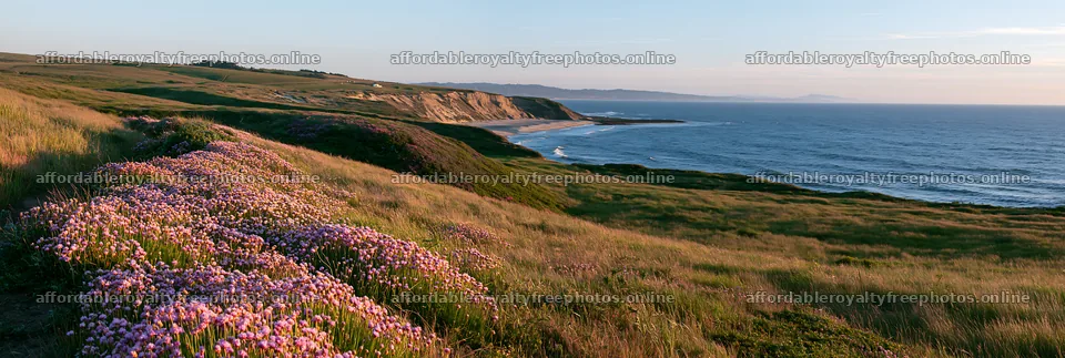 Coastal cliff meadow with wildflowers and ocean view – royalty-free photos 13690x4602
