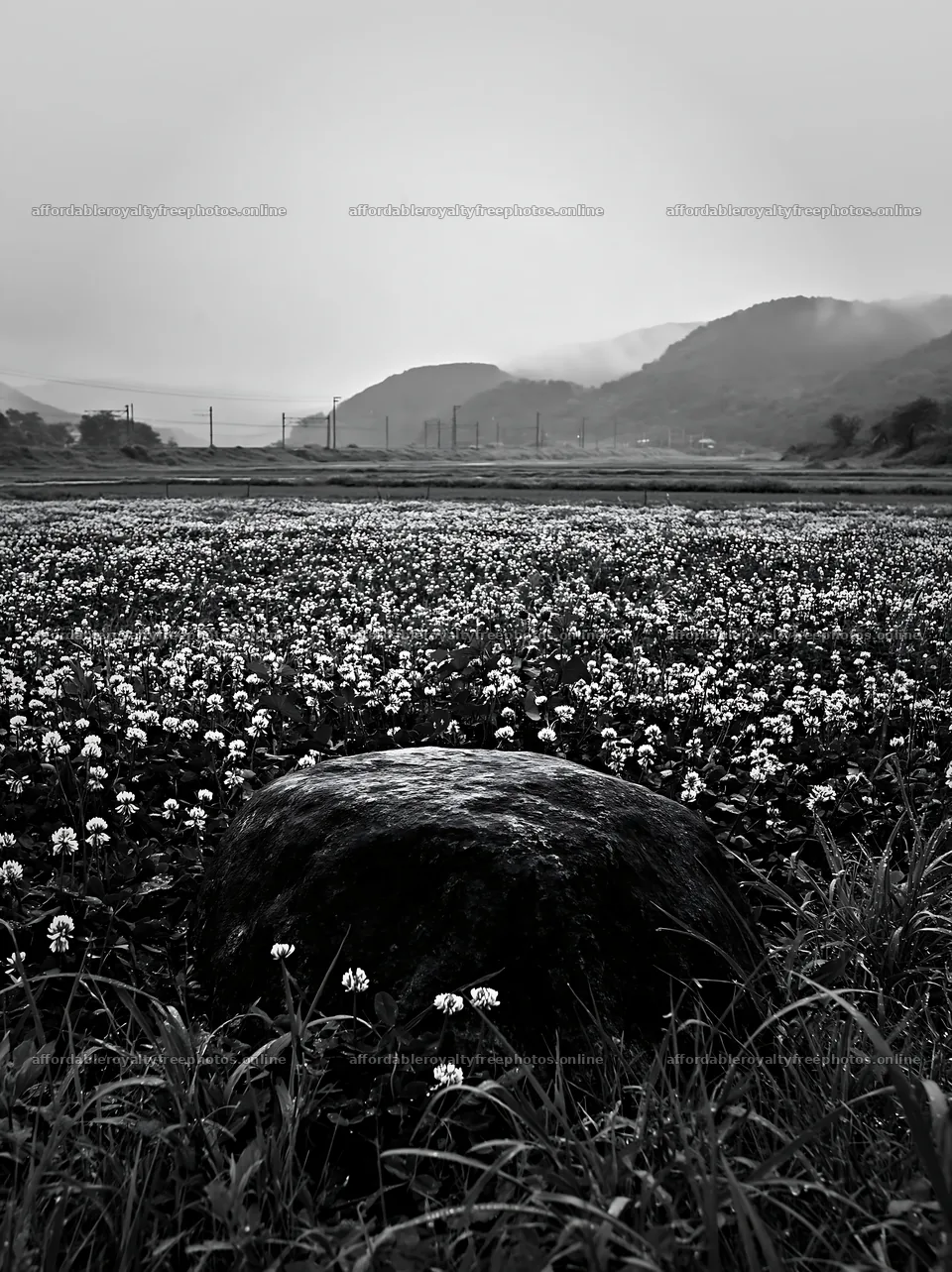 Rainy meadow in Hiroshima with smooth rock in foreground – royalty-free photos 6866x9174