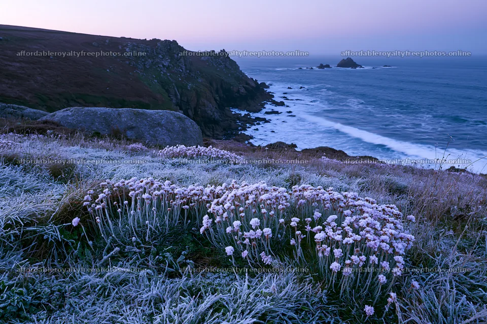 Frost-touched meadow by the coast at dawn – royalty-free photos 9722x6480