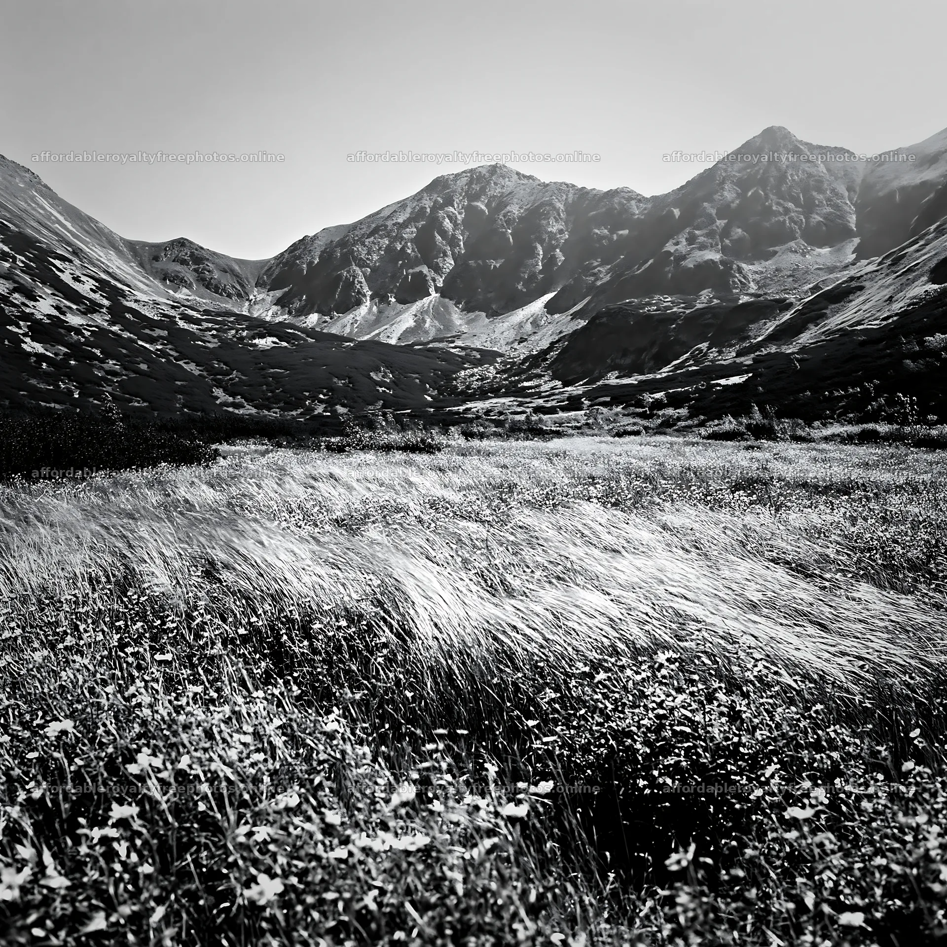 Mountain pass meadow with tall grass and distant peaks – royalty-free photos 7938x7938