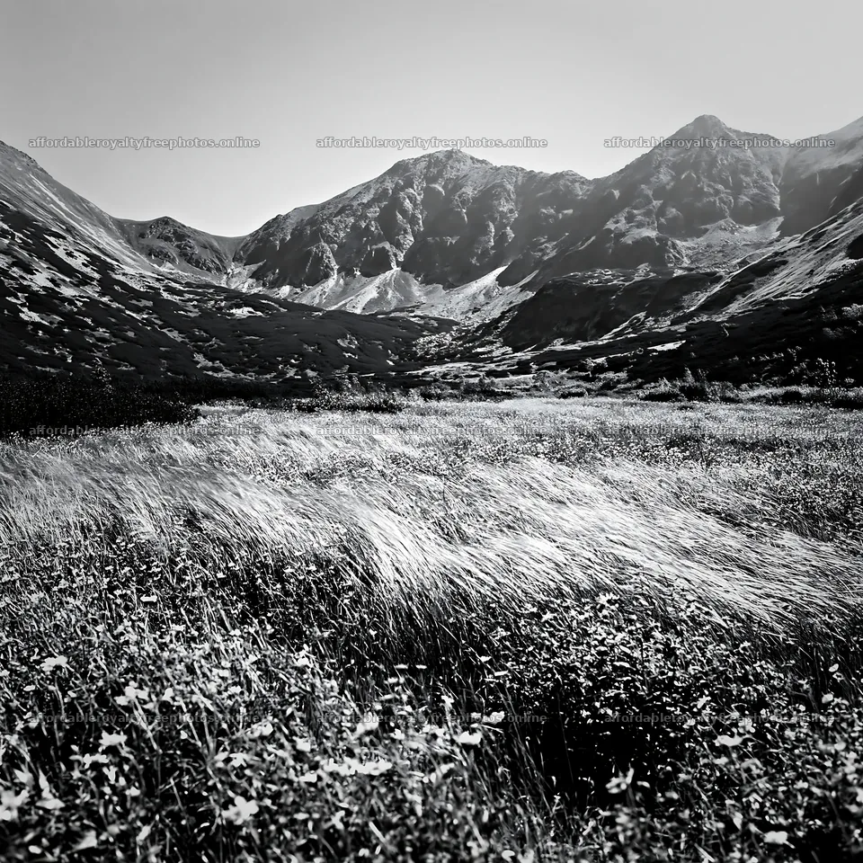 Mountain pass meadow with tall grass and distant peaks – royalty-free photos 7938x7938