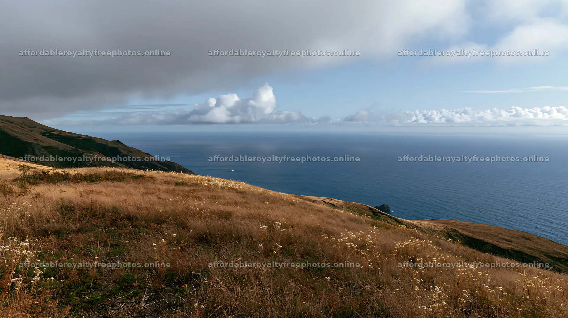View of Portuguese meadow above Atlantic coast – royalty-free photos 10608x5938