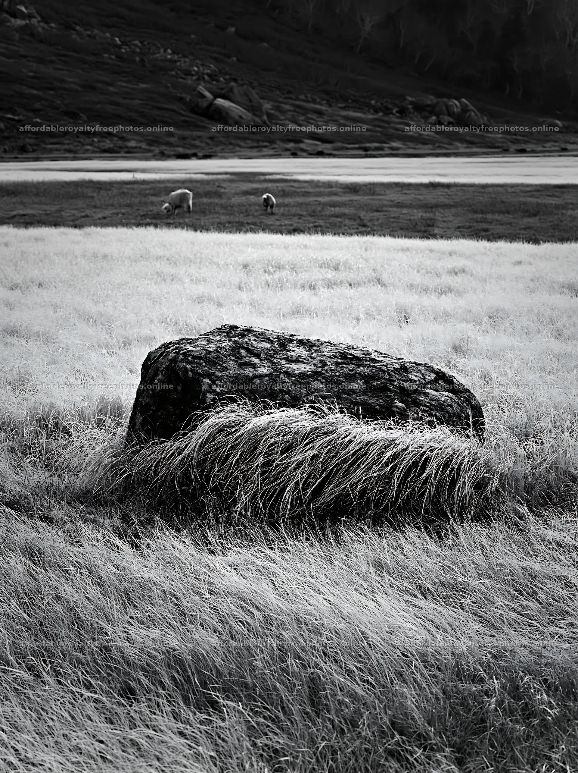 Granite boulder in drought resilient meadow of Nagano – royalty-free photos 6866x9174