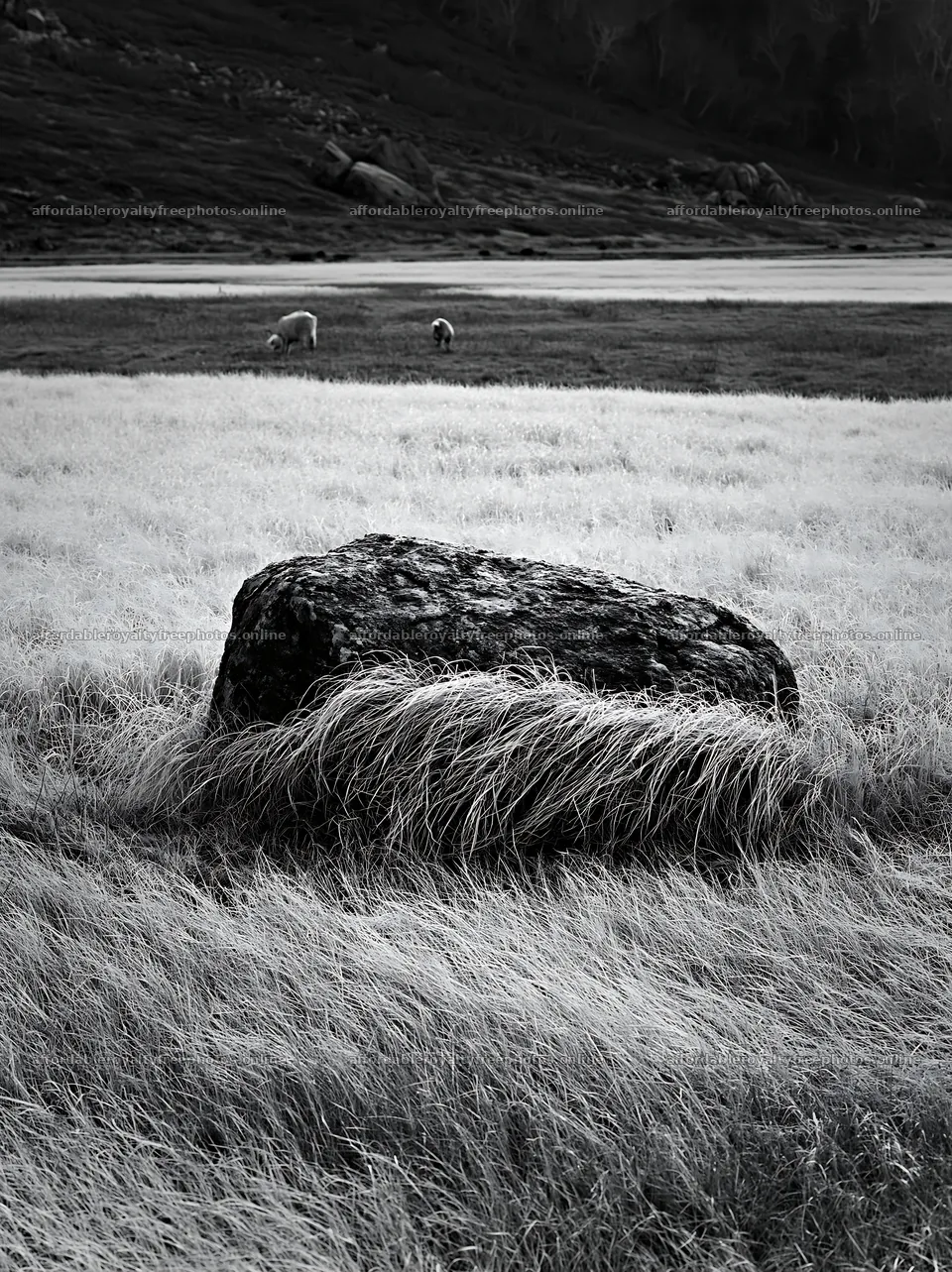 Granite boulder in drought resilient meadow of Nagano – royalty-free photos 6866x9174