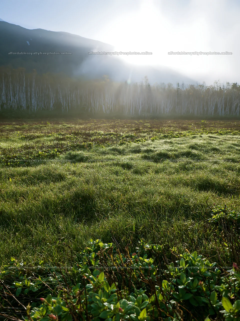 Light rays shine on Daisetsuzan alpine meadow landscape – royalty-free photos 6866x9174