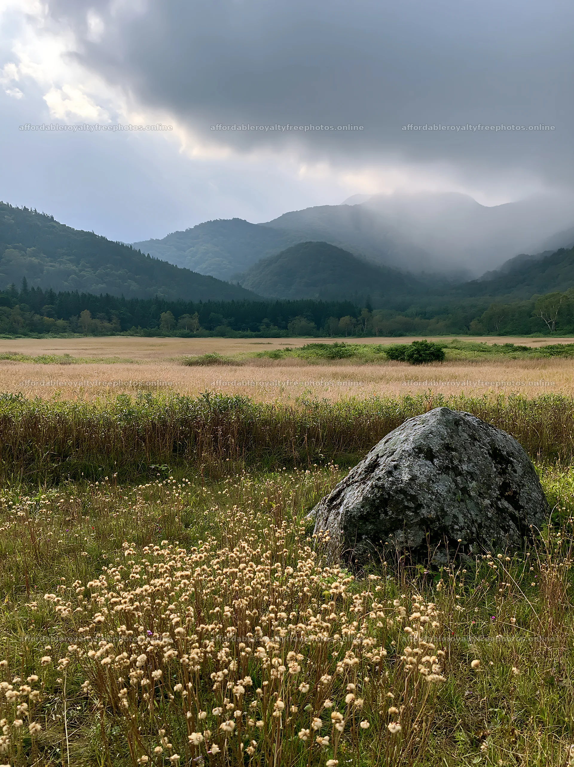 Aomori climate resilient meadow with boulder – royalty-free photos 6866x9174
