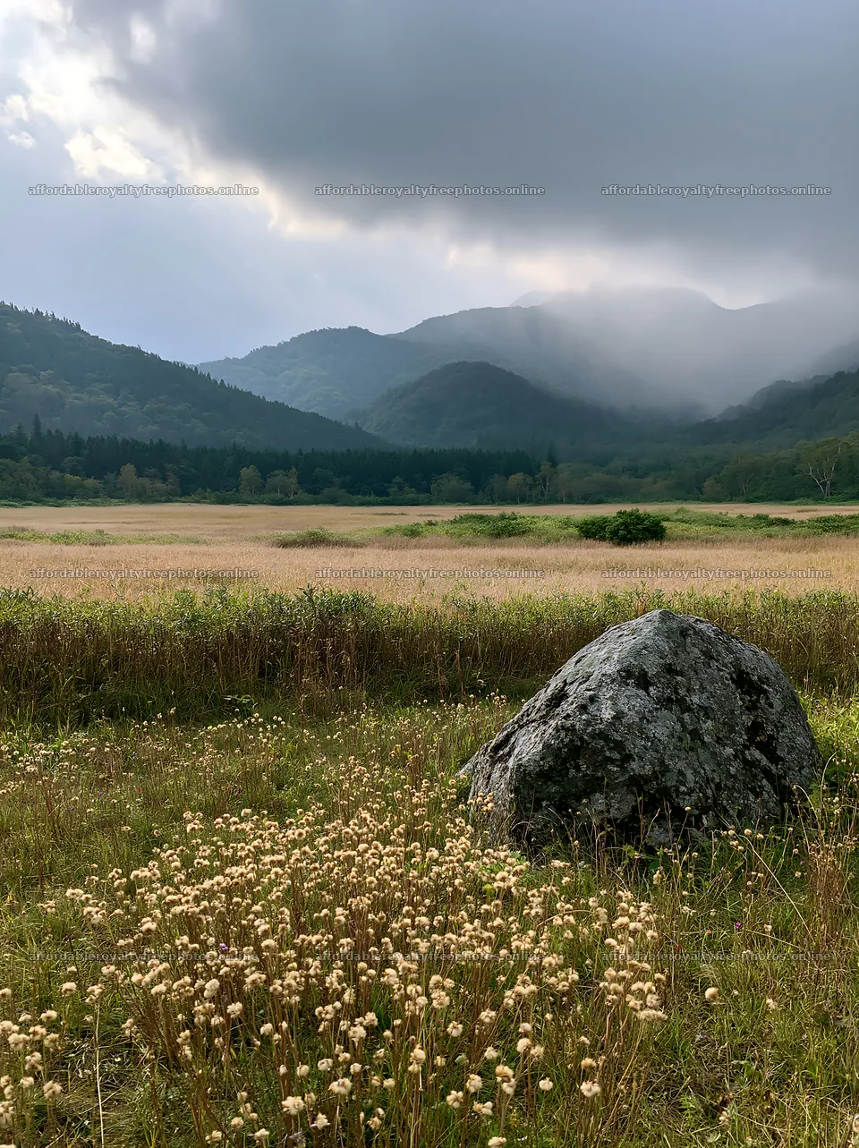 Aomori climate resilient meadow with boulder – royalty-free photos 6866x9174