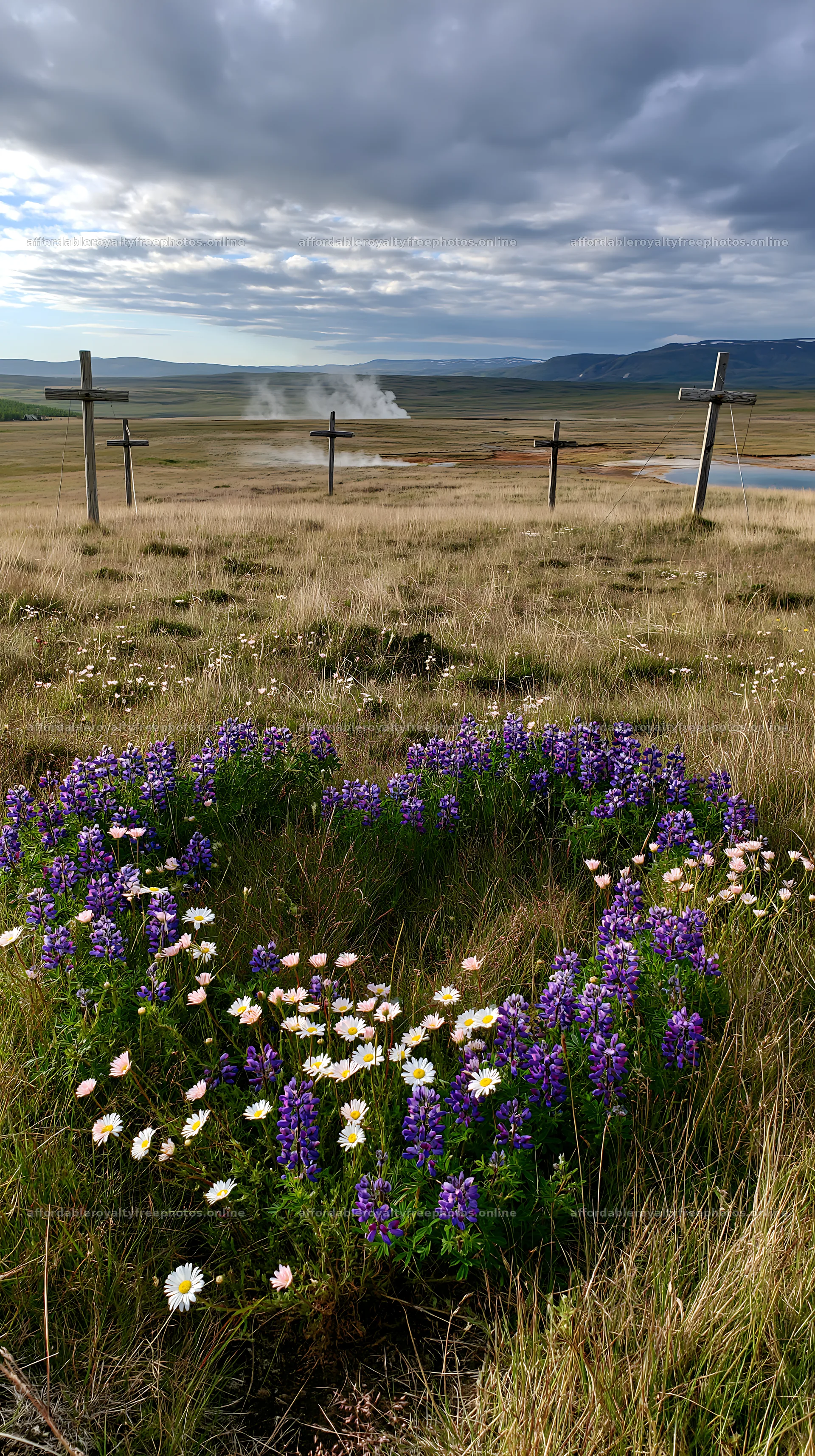 Christian crosses in a geothermal spring meadow with – royalty-free photos 5938x10608