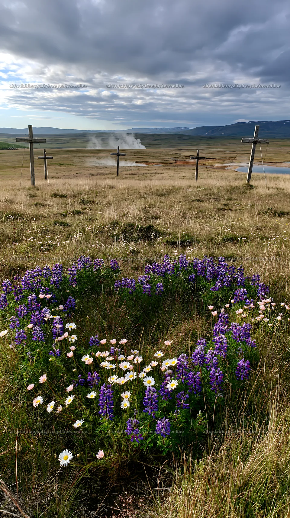 Christian crosses in a geothermal spring meadow with – royalty-free photos 5938x10608