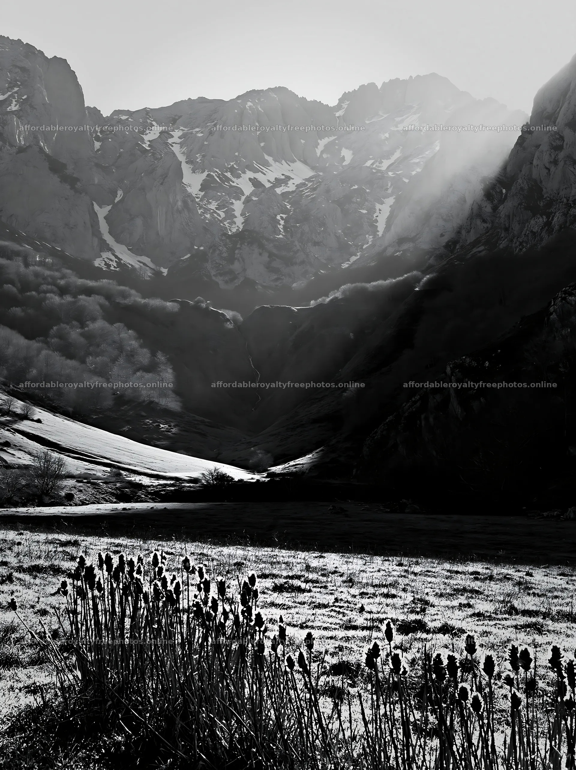 Sunrays illuminate meadow in Picos de Europa mountains – royalty-free photos 6866x9174