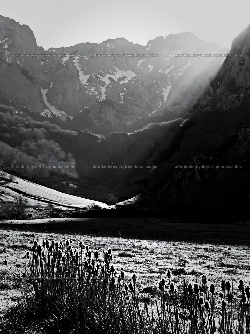 Sunrays illuminate meadow in Picos de Europa mountains – royalty-free photos 6866x9174