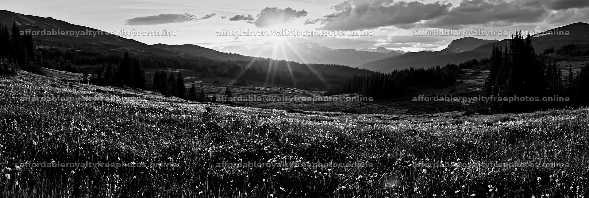 Sunshine Meadows Banff light rays create a scenic view – royalty-free photos 13690x4602